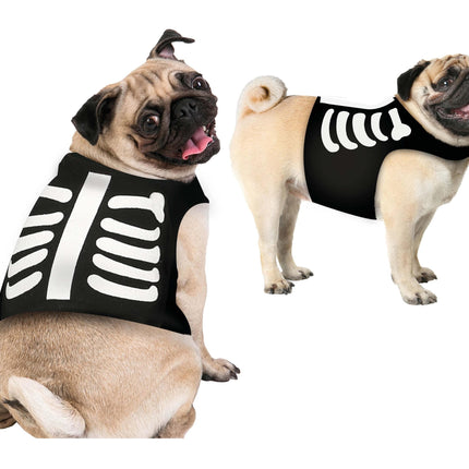 Costume da animale di Halloween Scheletro Mascotte