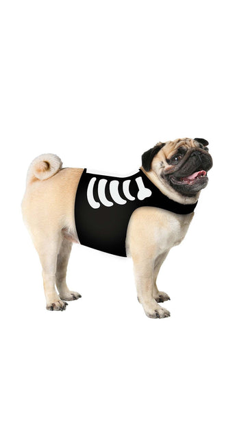 Costume da animale di Halloween Scheletro Mascotte