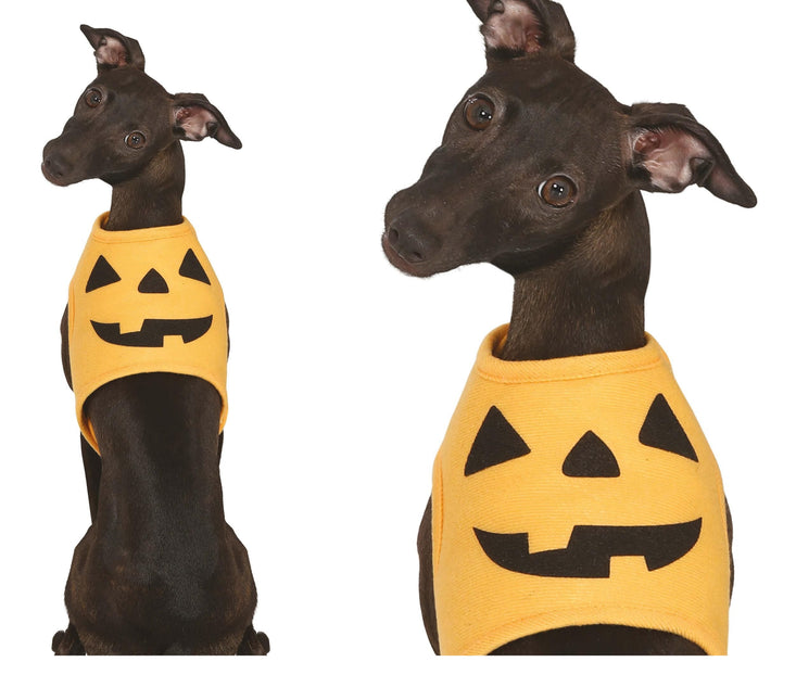 Animali di Halloween Costume Zucca Mascotte