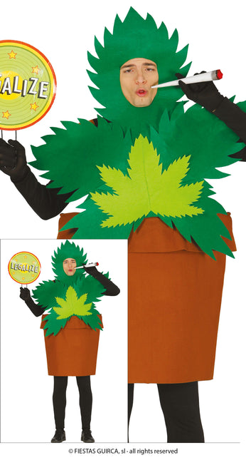 Costume da pianta di canna L