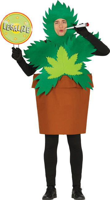 Costume da pianta di canna L