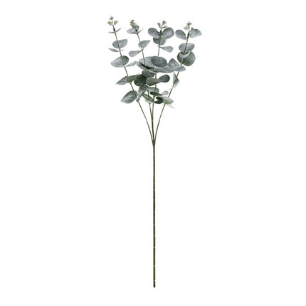 Foglia Fiori Secchi Eucalipto 60 cm