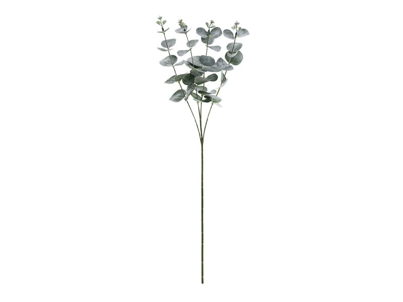 Foglia Fiori Secchi Eucalipto 60 cm