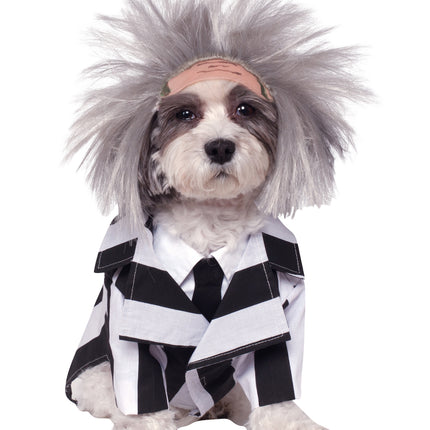 Costume da cane Beetlejuice