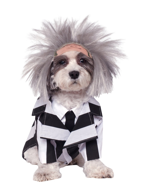 Costume da cane Beetlejuice