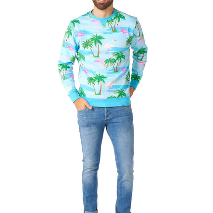 Maglione Hawaii Flamingo Uomo OppoSuits