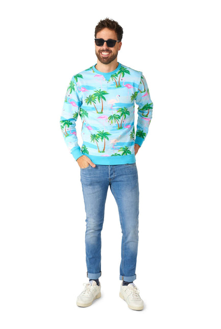 Maglione Hawaii Flamingo Uomo OppoSuits