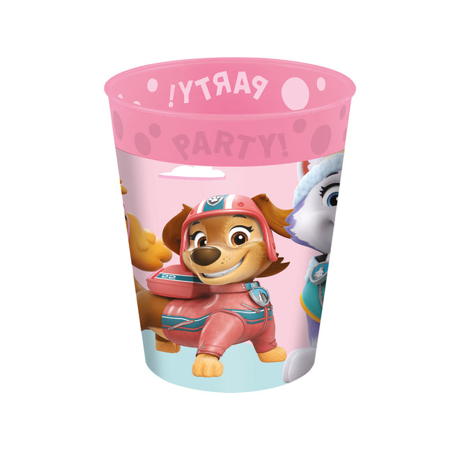 Tazza Paw Patrol Skye ed Everest riutilizzabile 250ml