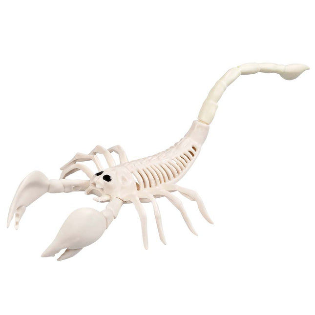 Scheletro scorpione di Halloween 31 cm