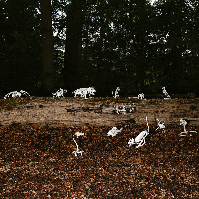 Scheletro di uccello di Halloween 20 cm