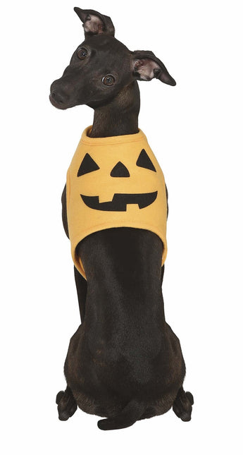 Costume da animale di Halloween Zucca