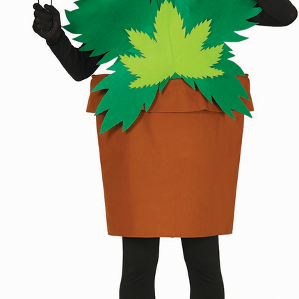 Costume da pianta di canna L