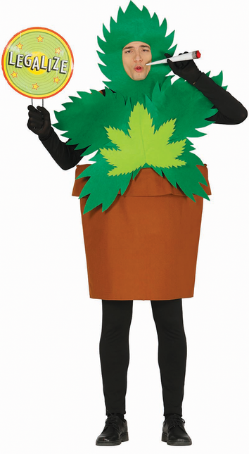 Costume da pianta di canna L