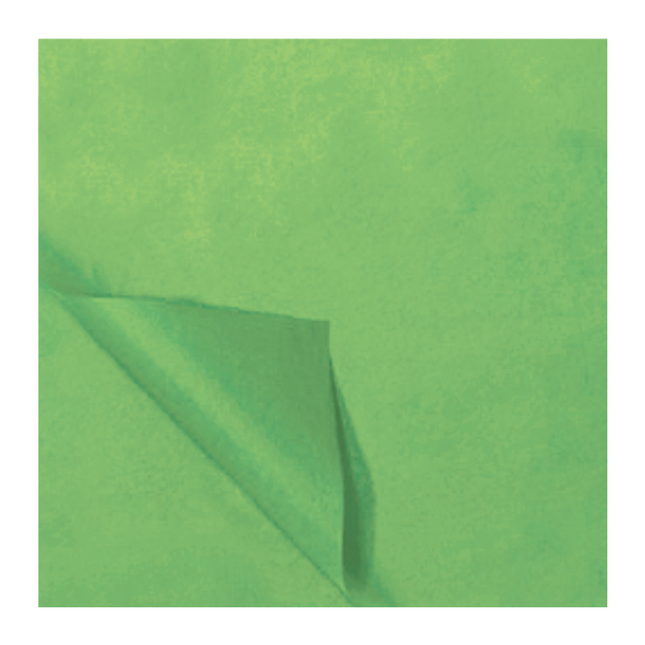 Carta velina verde chiaro 50x70cm 5pz