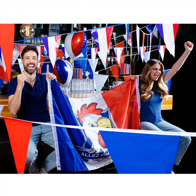 Bandiera Allez France 1,5 m