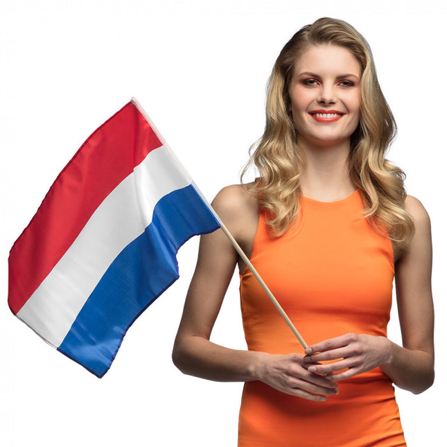 Bandiera a onda Paesi Bassi 76 cm