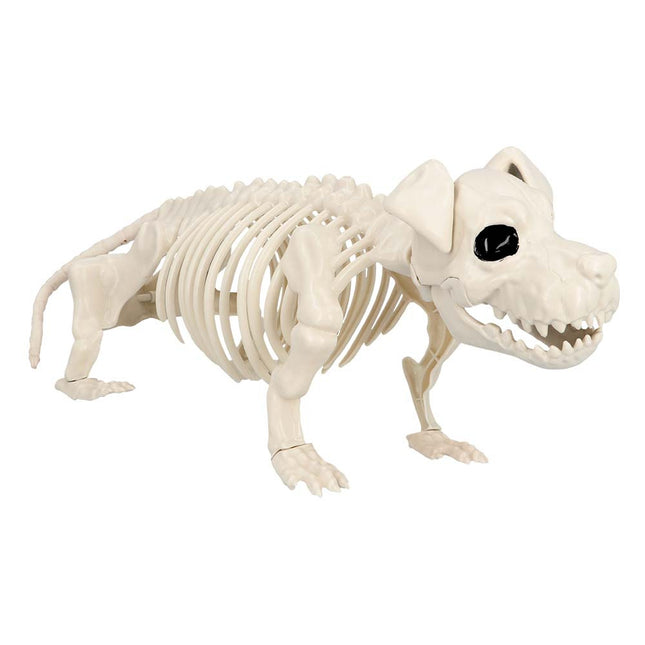 Scheletro di cane di Halloween 52 cm