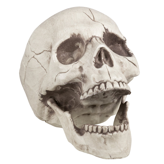Teschio di Halloween con mascella mobile 21 cm