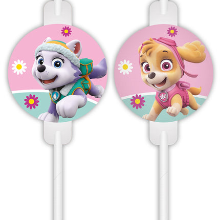 Cannucce Paw Patrol Skye ed Everest 4 pezzi