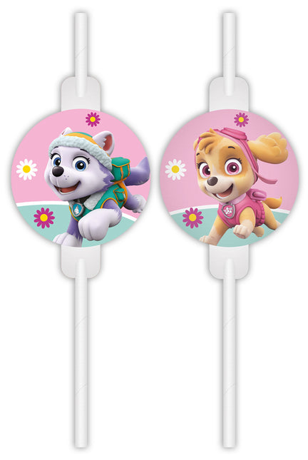 Cannucce Paw Patrol Skye ed Everest 4 pezzi