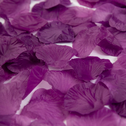 Petali di rosa viola 500pz