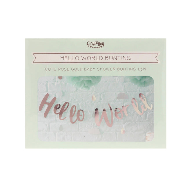 Ghirlanda di lettere in oro rosa Hello World 1,5 m