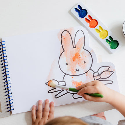 Libro dei colori di Miffy