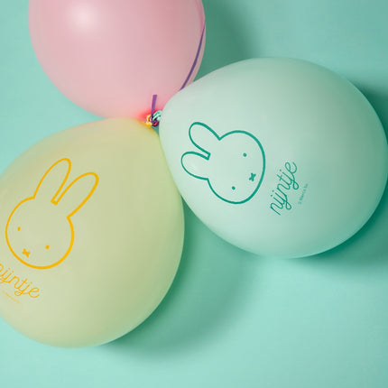 Palloncini Miffy 30cm 5pz