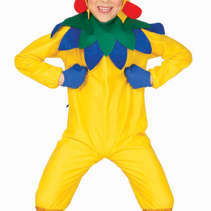 Costume da pollo per bambino