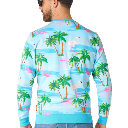 Maglione Hawaii Flamingo Uomo OppoSuits