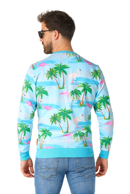 Maglione Hawaii Flamingo Uomo OppoSuits