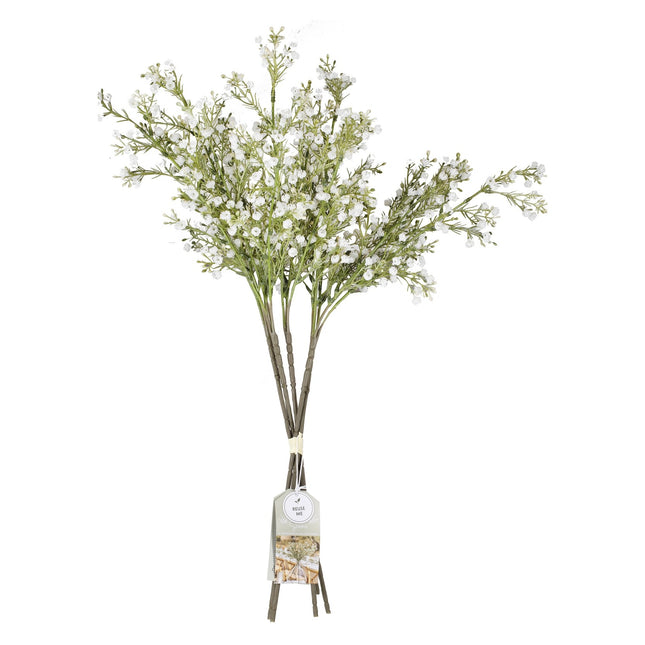 Fiori secchi Gypsophilia Steli 40cm 5pz