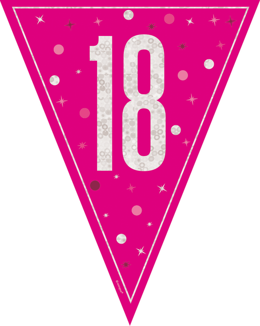 18 anni Ghirlanda Rosa 2,5 m