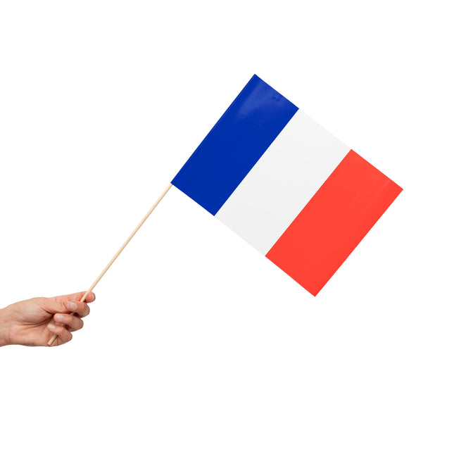 Bandiera Francia 10 pezzi