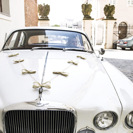 Set di decorazioni per auto Archi da sposa