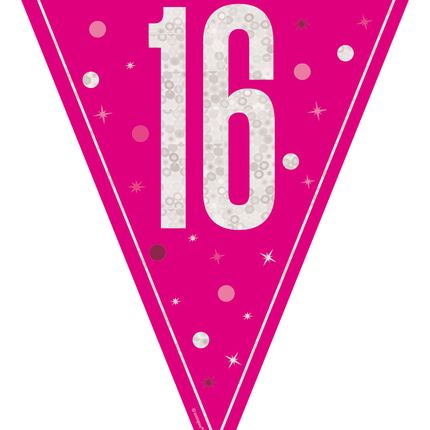 16 Anni Ghirlanda Rosa 2,5m