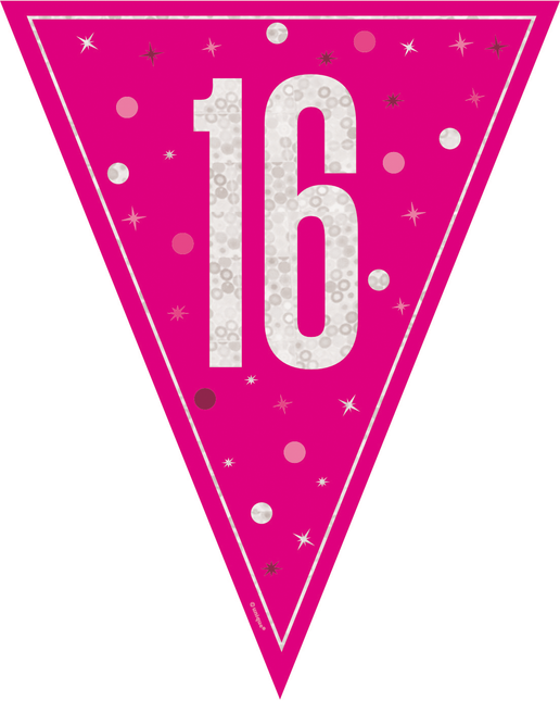 16 Anni Ghirlanda Rosa 2,5m