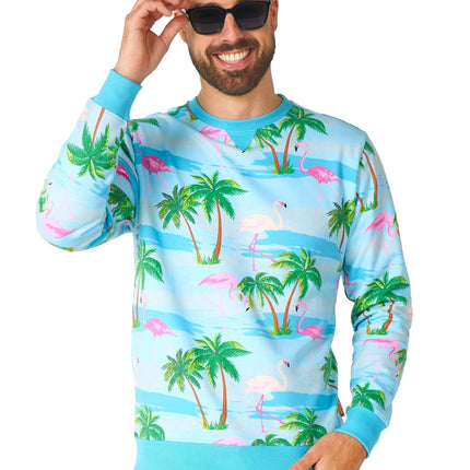 Maglione Hawaii Flamingo Uomo OppoSuits