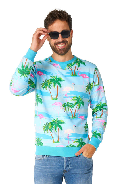 Maglione Hawaii Flamingo Uomo OppoSuits