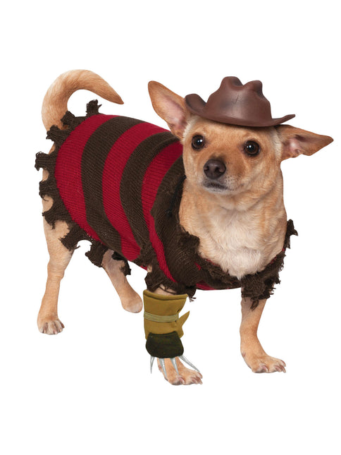 Costume da cane per Halloween Freddy Krueger