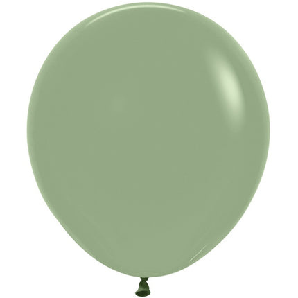 Palloncini Eucalipto 45cm 25pz