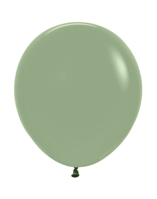 Palloncini Eucalipto 45cm 25pz