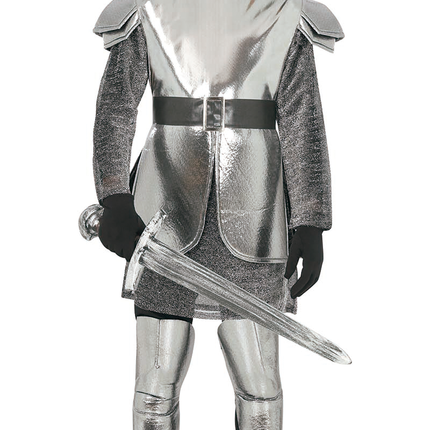 Costume da cavaliere d'argento