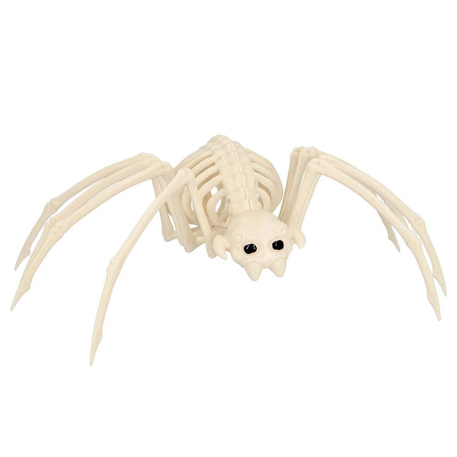 Scheletro ragno di Halloween 35 cm