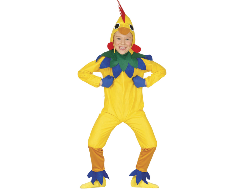 Costume da pollo bambino