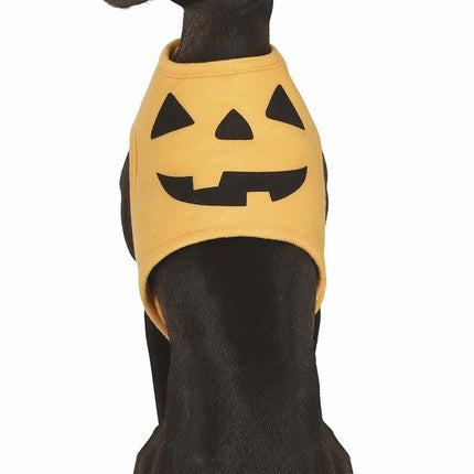 Animali di Halloween Costume Zucca Mascotte