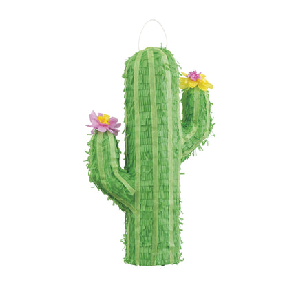 Pignatta Cactus 50 cm