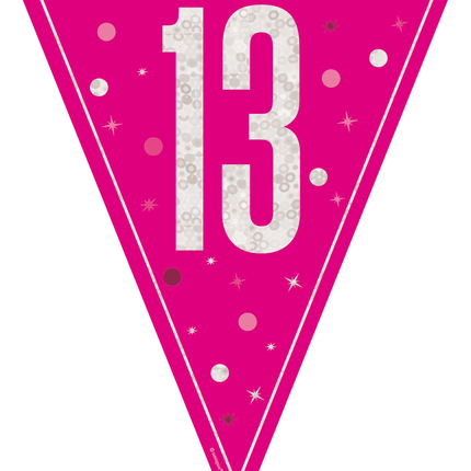 13 anni Ghirlanda rosa 2,5 m