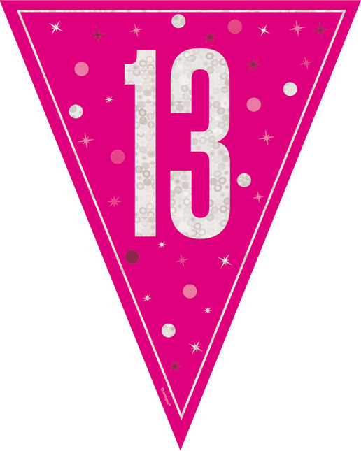 13 anni Ghirlanda rosa 2,5 m