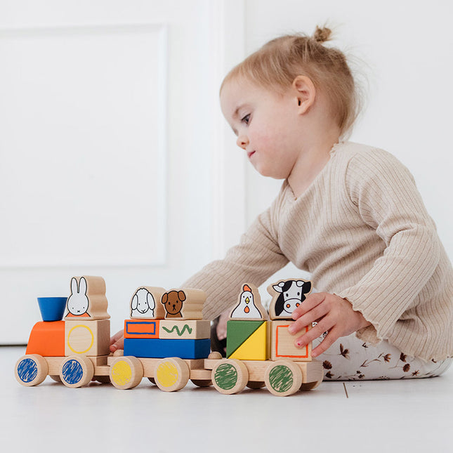 Treno a blocchi Miffy